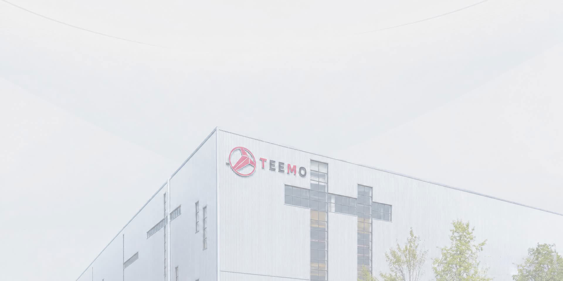 About TEEMO